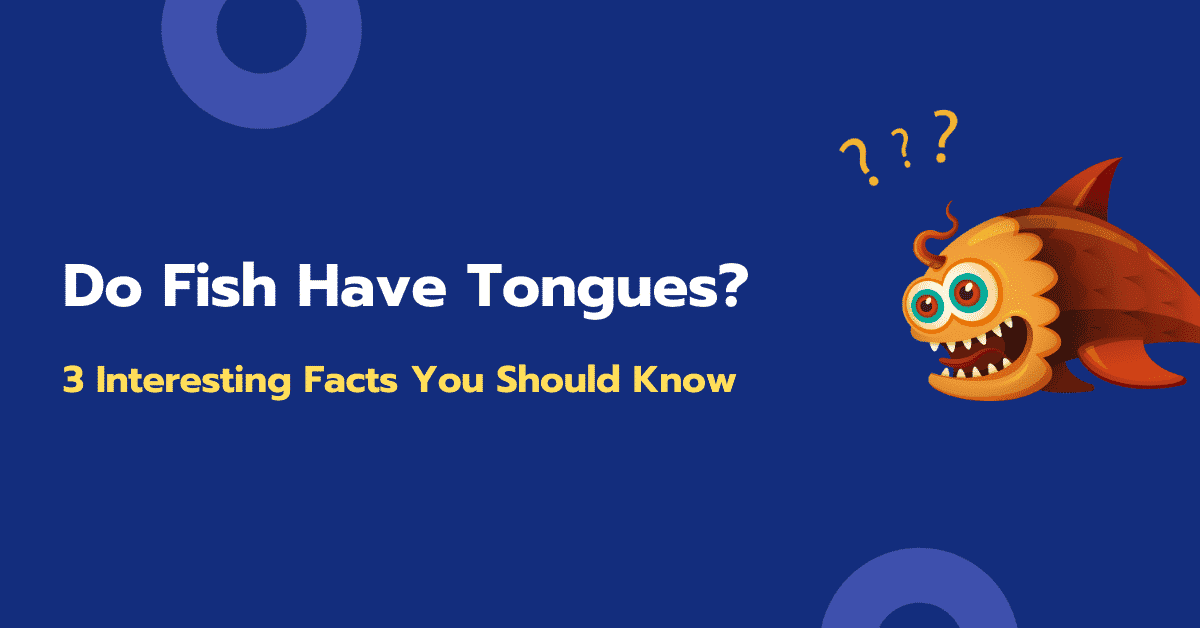 Do Fish Have Tongues: 3 Interesting Facts You Should Know