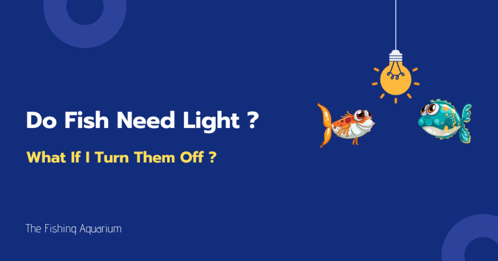 Do Fish Need Light