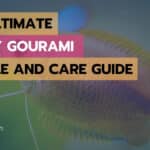 Honey Gourami Profile and Care Guide