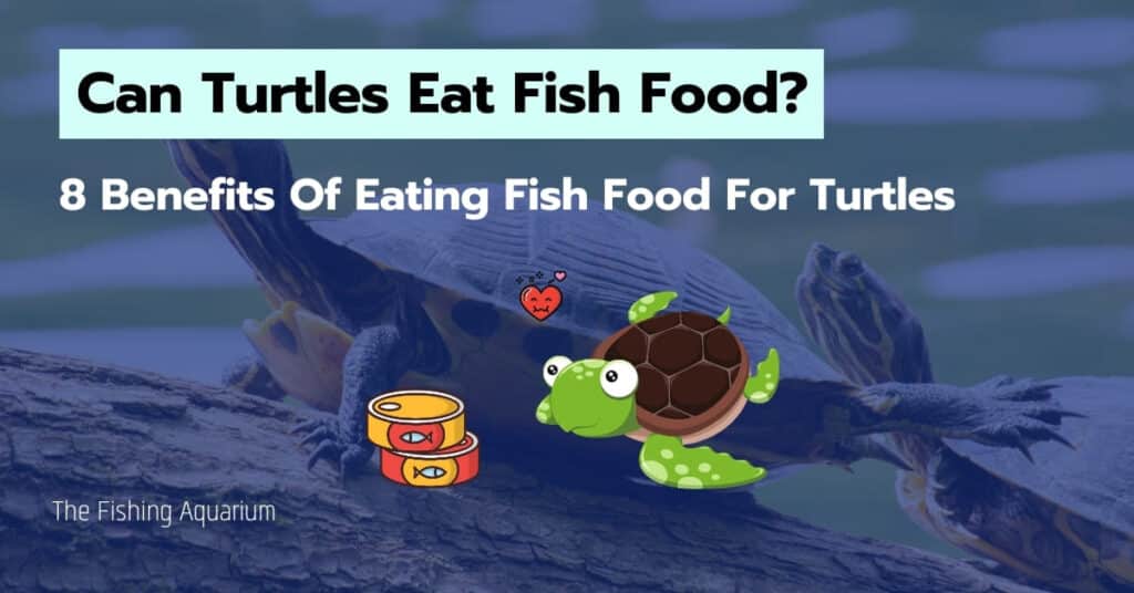 Can Turtles Eat Fish Food