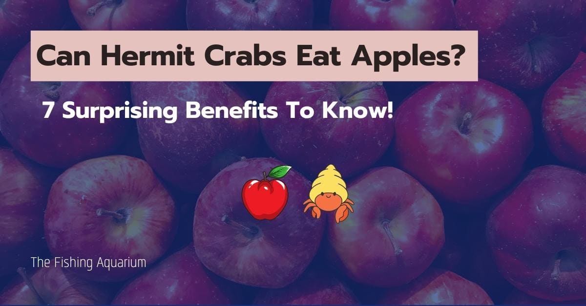 are crab apples bad for dogs to eat