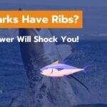 Do Sharks Have Ribs? The Answer Will Shock You!
