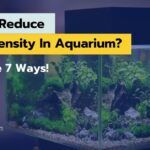 How To Reduce Light Intensity In Aquarium