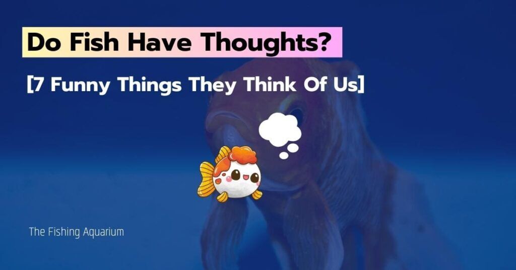 Do Fish Have Thoughts