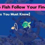Why Do Fish Follow Your Finger